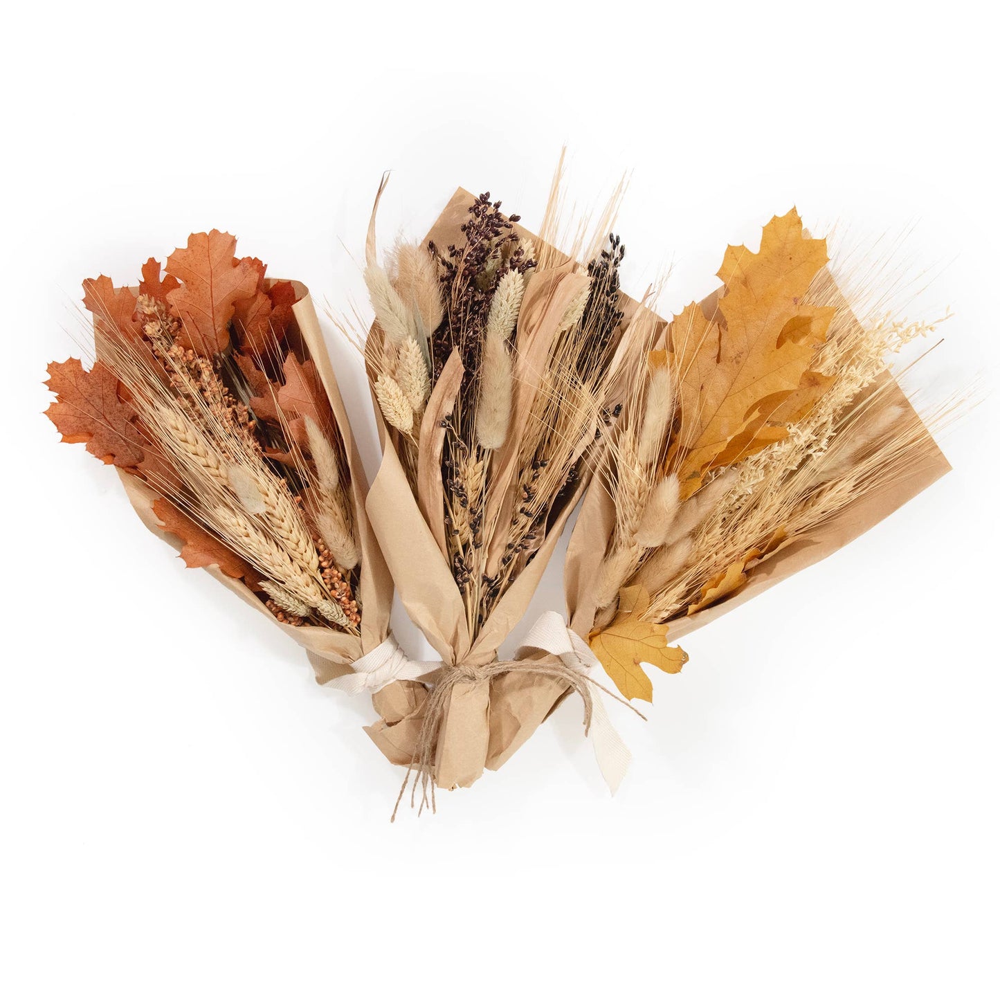 Petite Harvest 12" Bouquet: Sorghum & Bunny Tail