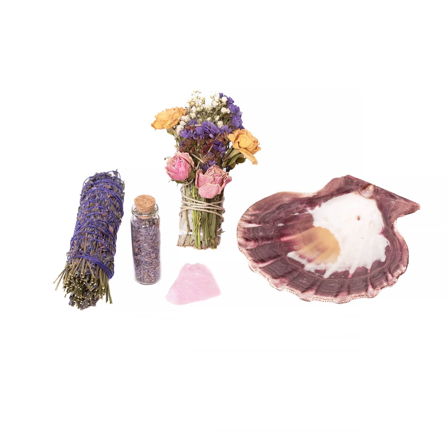 Lion Paw Shells, Displays, Incense Burner 4.5"- 6"