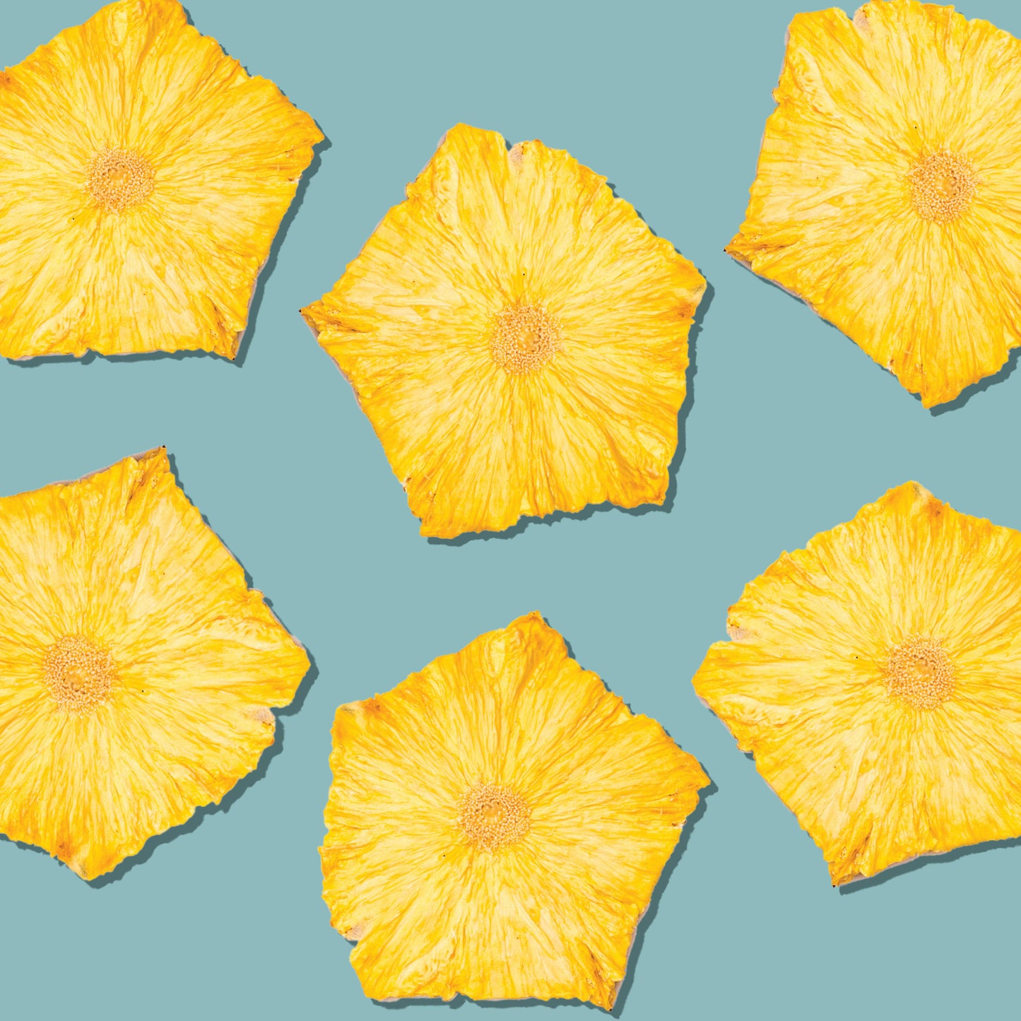 Dehydrated Pineapple Wheels (Small Case)