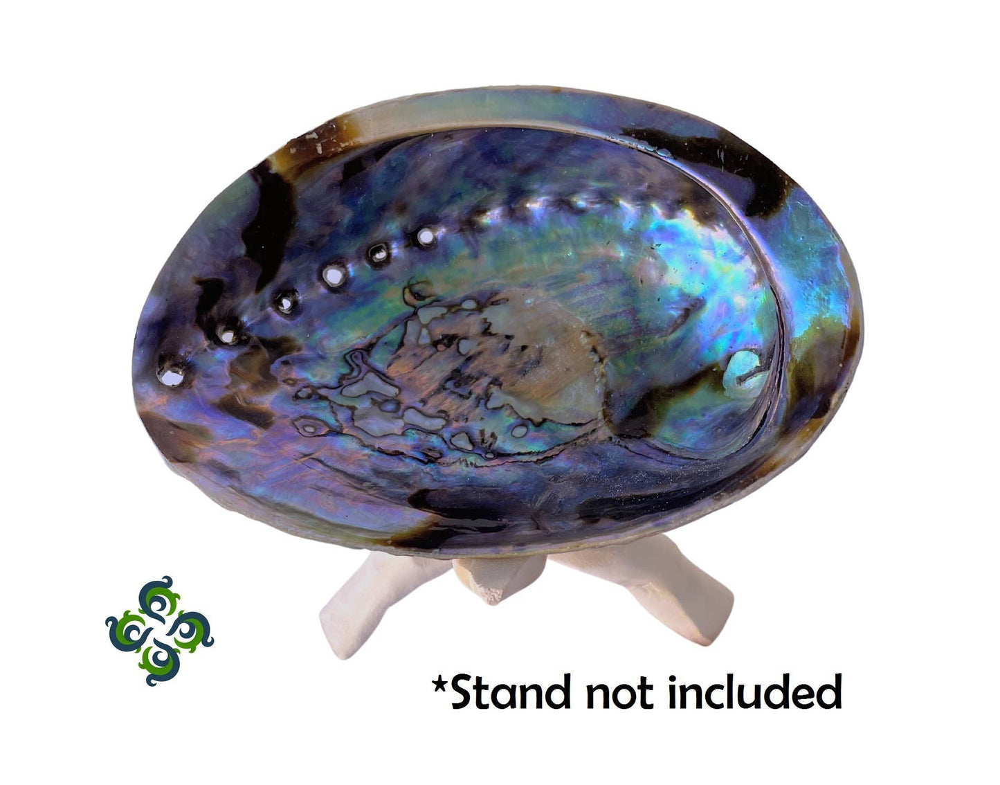 Abalone Shells, 4 - 5 inches, New Zealand, Incense Burner