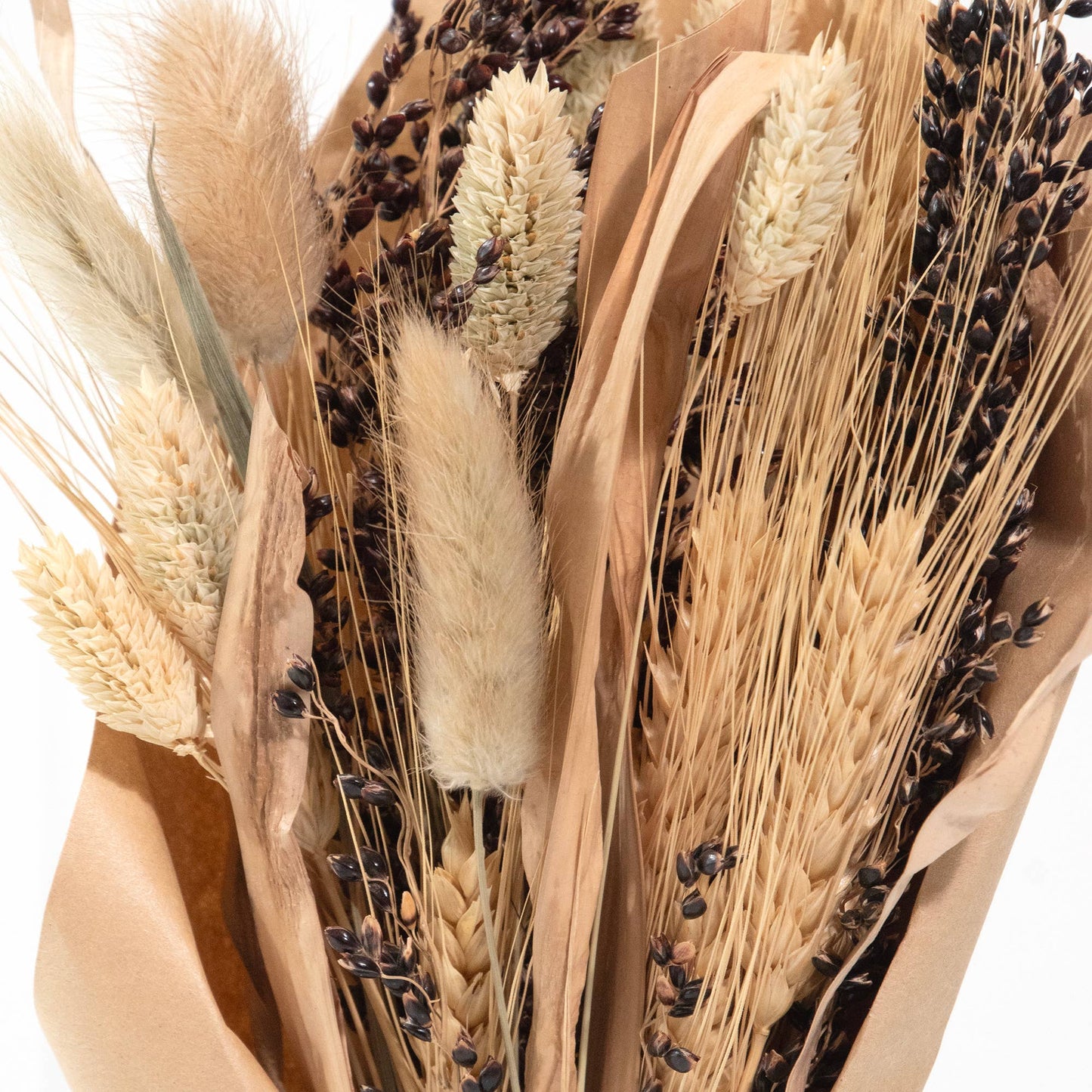 Petite Harvest 12" Bouquet: Sorghum & Bunny Tail