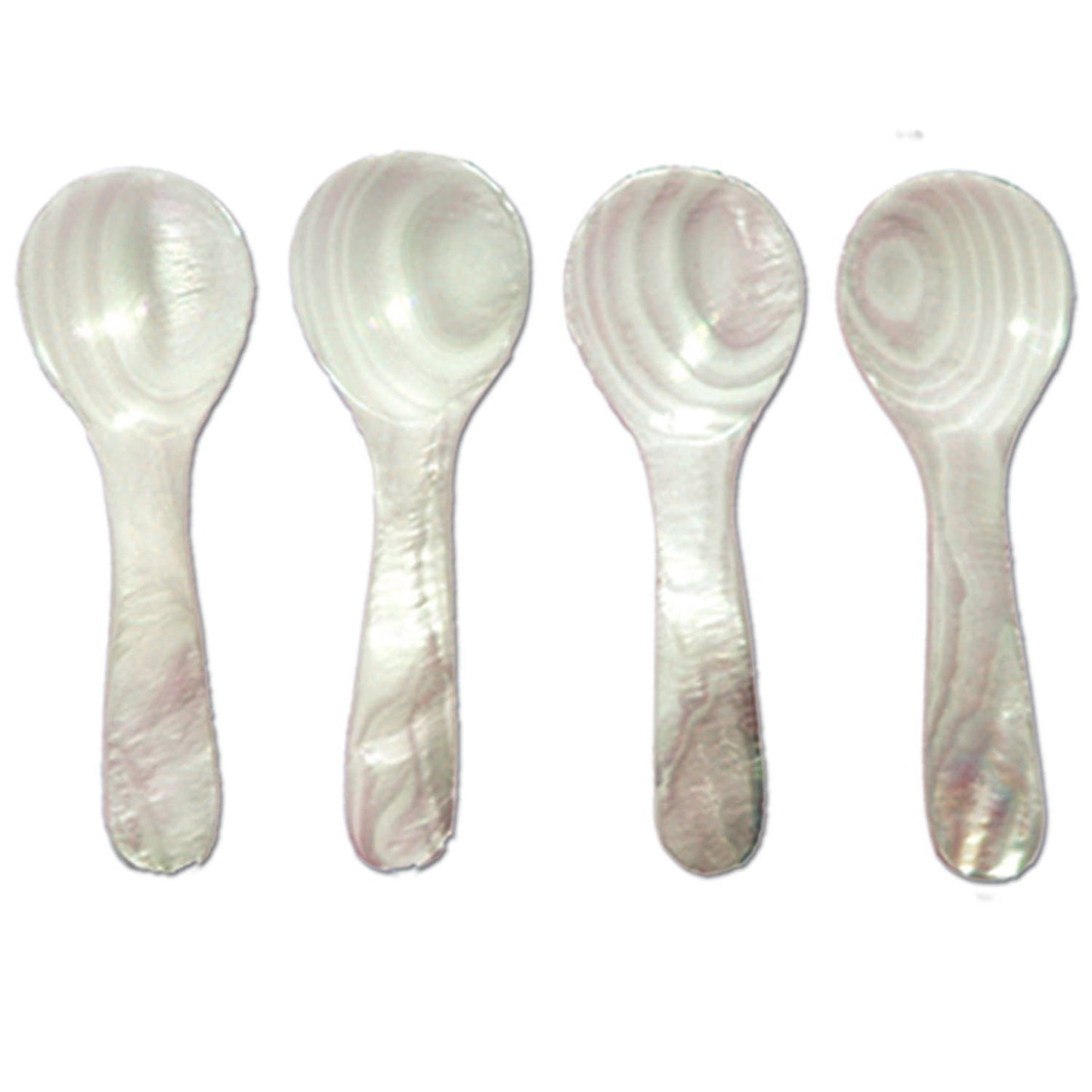 Seashell Spoon