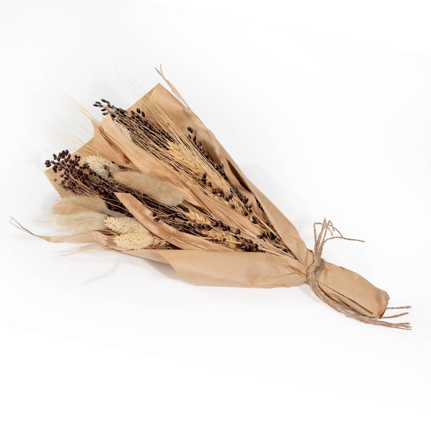 Petite Harvest 12" Bouquet: Sorghum & Bunny Tail