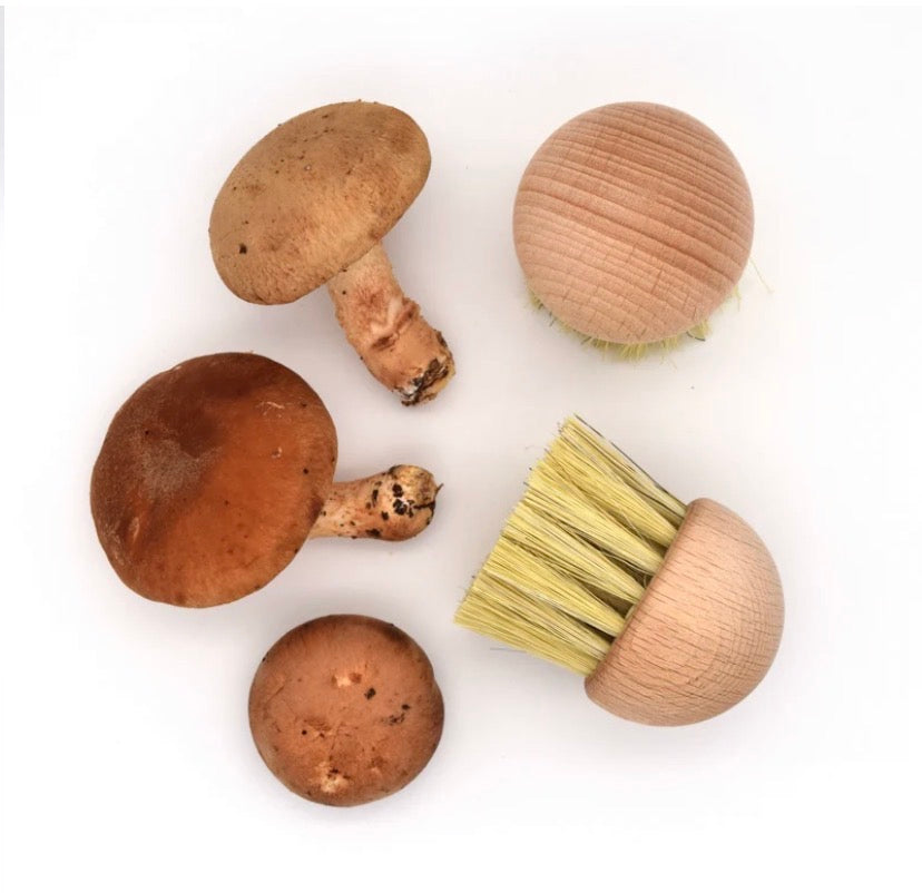 Mushroom Brush