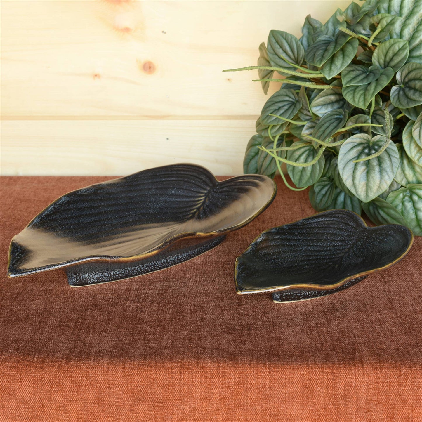Begonia Leaf Tray