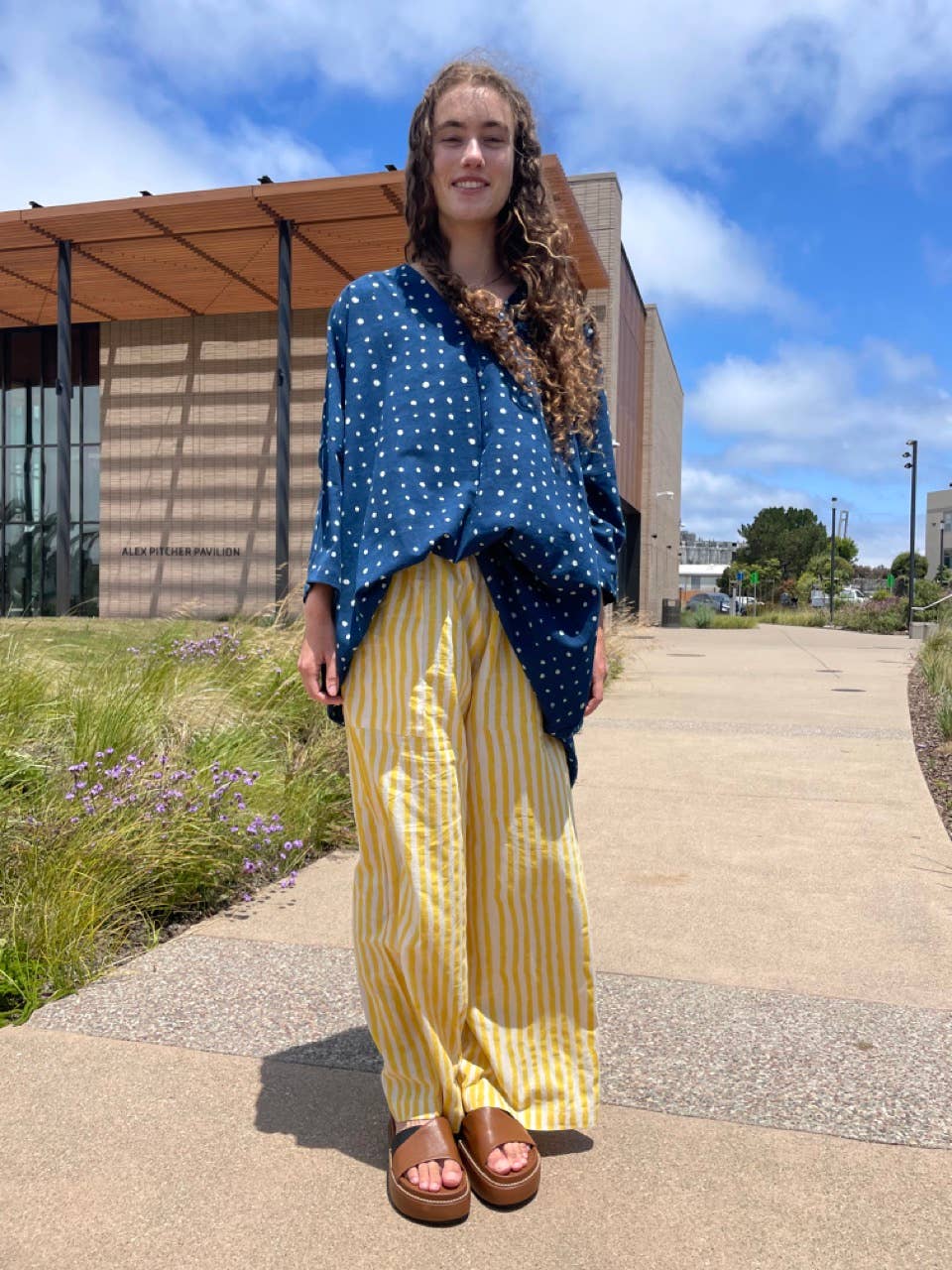 Indigo & Dots Dress