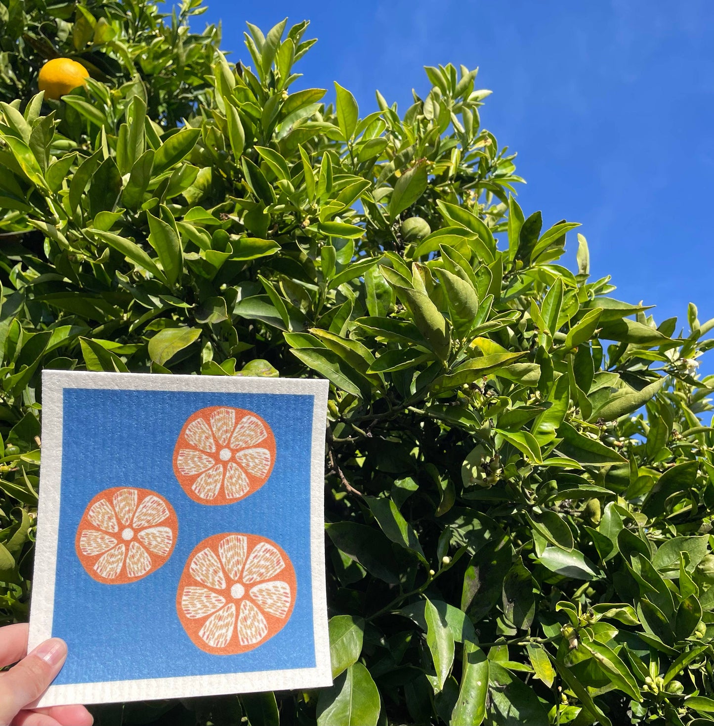 Oranges Swedish Dishcloth