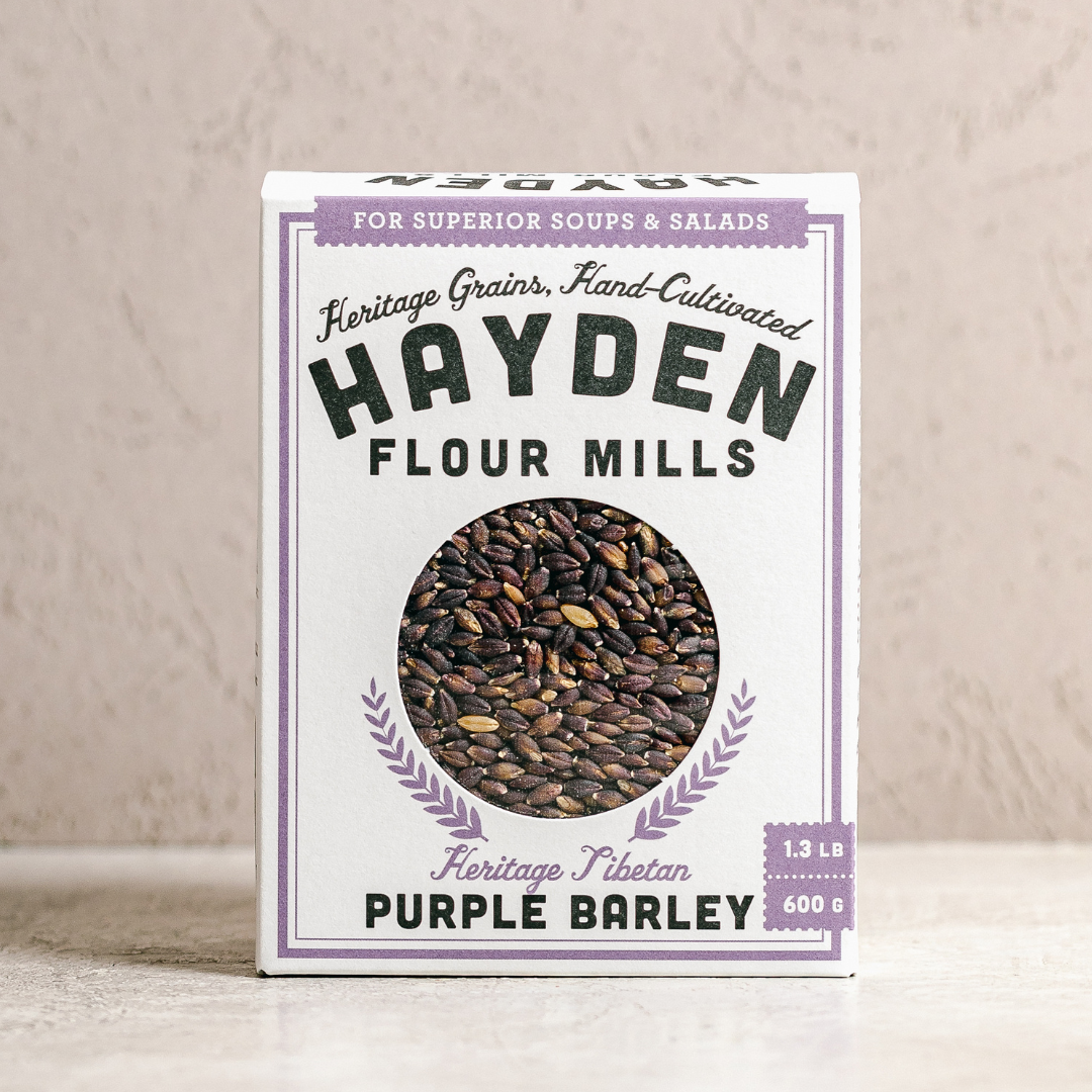 Purple Barley Berries