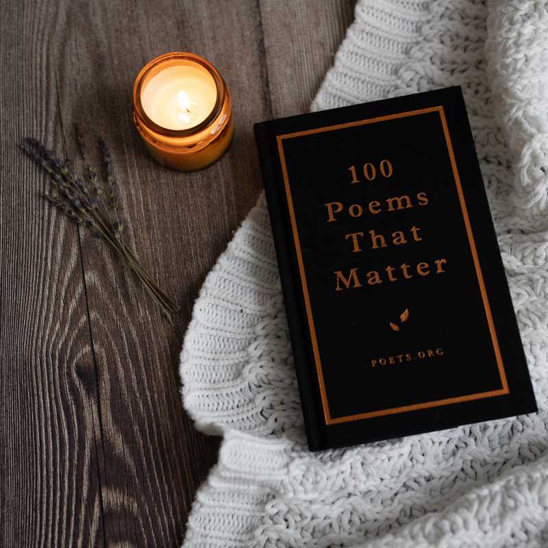 100 Poems That Matter by The Academy of American Poets: Hardcover; 208 pages / English