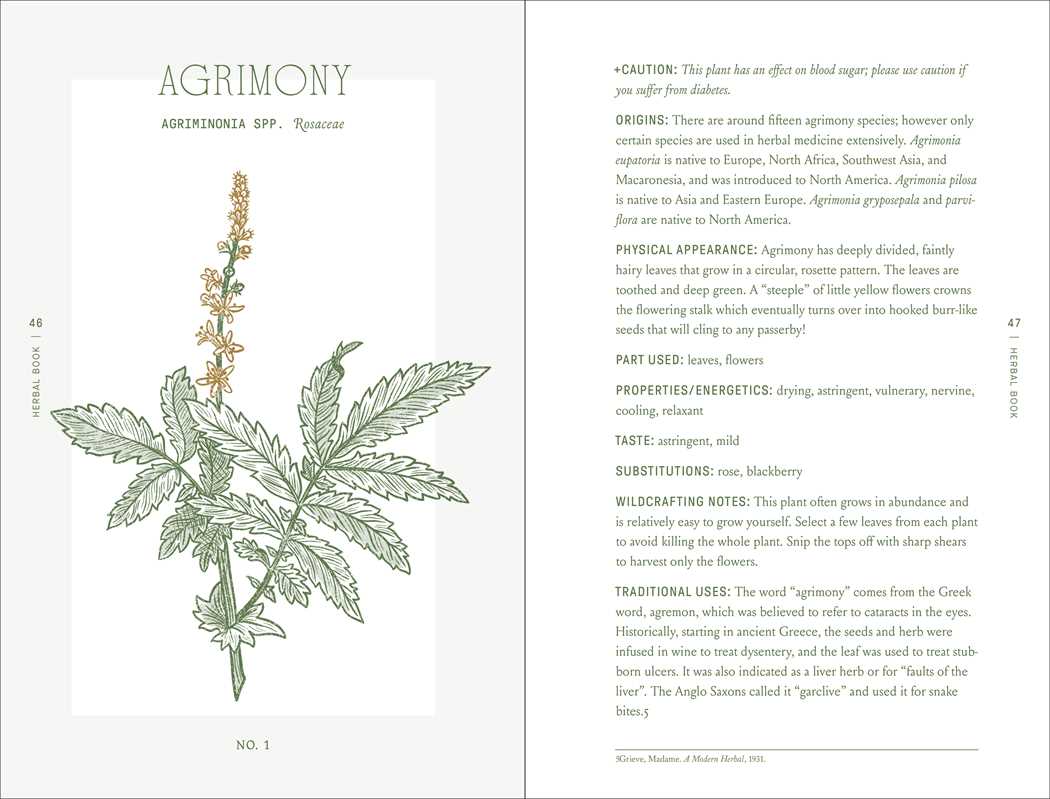 Complete Folk Herbal by Rebecca Beyer: Hardcover; 384 pages / English