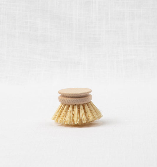 Beechwood Dishwashing Brush Head