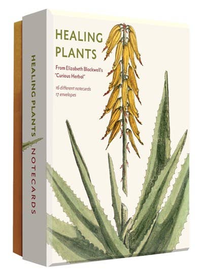 Healing Plants Note Cards: Cards
