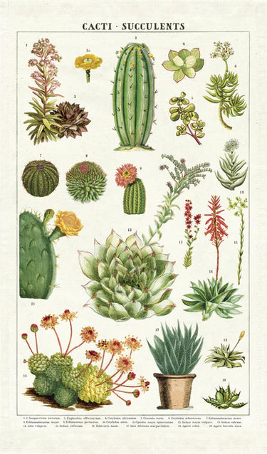 Cavallini Tea Towel-Succulents