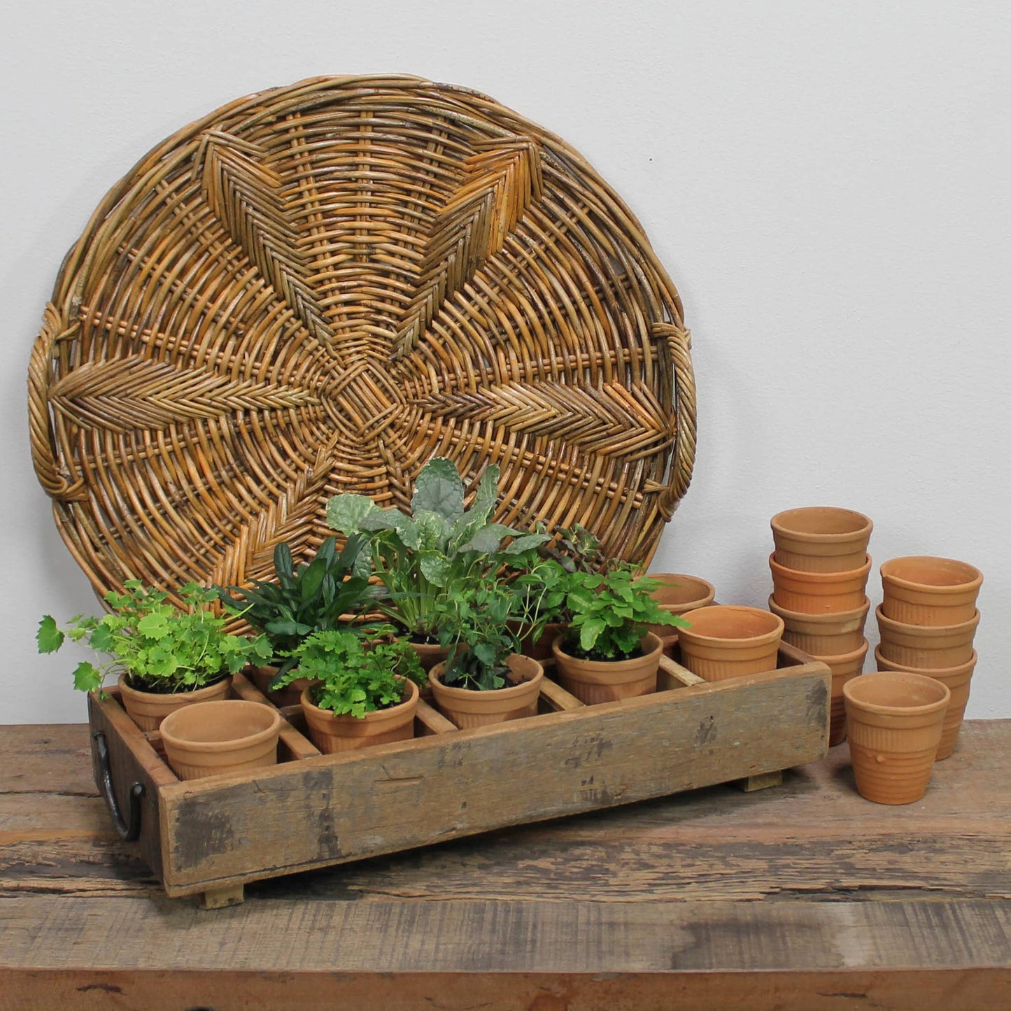 Campo Terra Cotta Pot