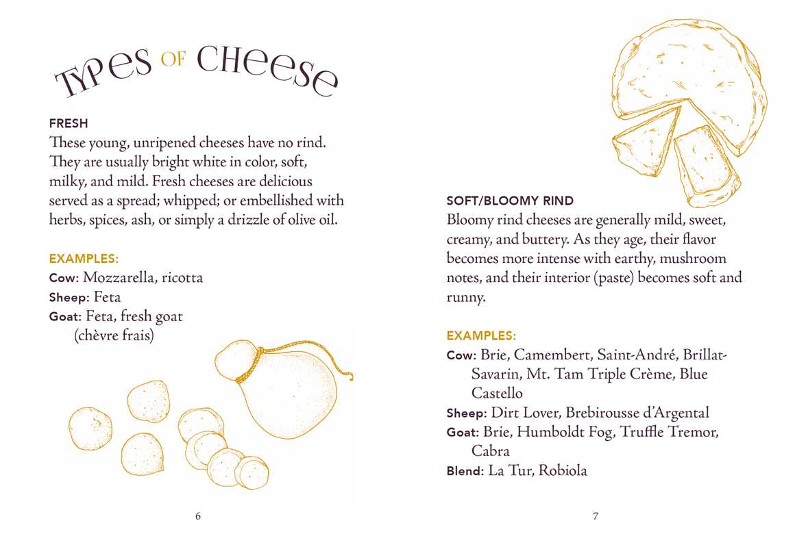 Little Book of Charcuterie and Cheese by Lynda  Balslev: Hardcover; 144 pages / English