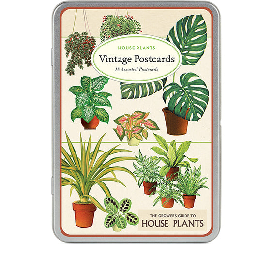 Cavallini Vintage Postcards- Houseplant