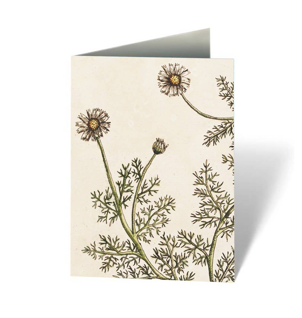 Healing Plants Note Cards: Cards