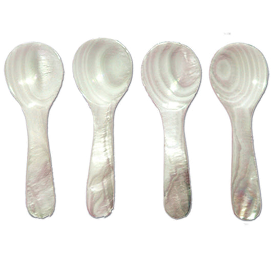 Seashell Spoon