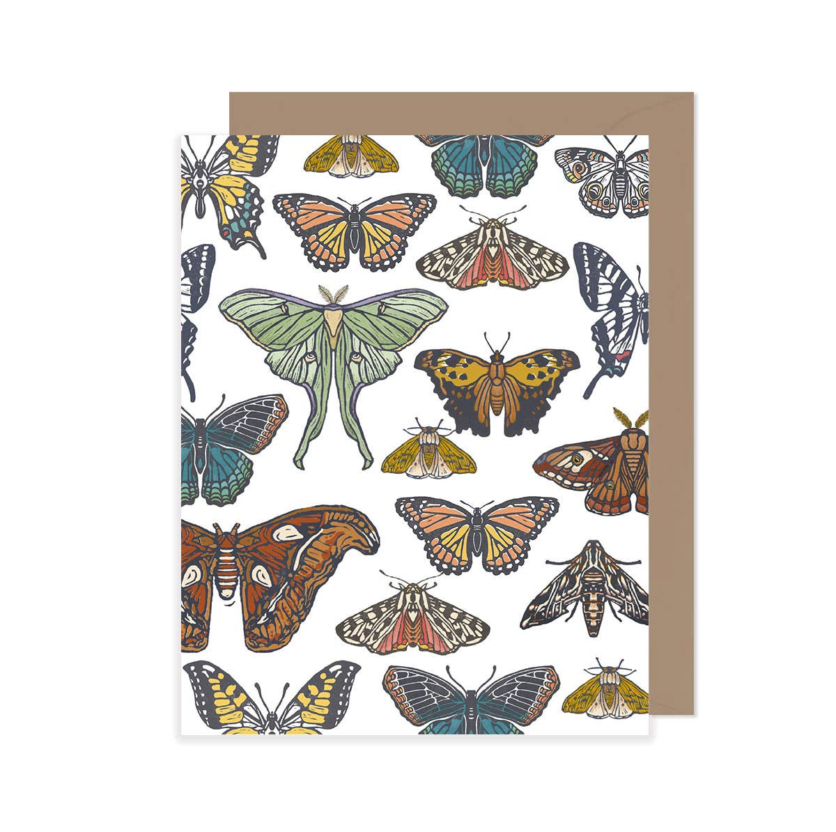 Butterfly + Moth Collection Everyday Greeting Card