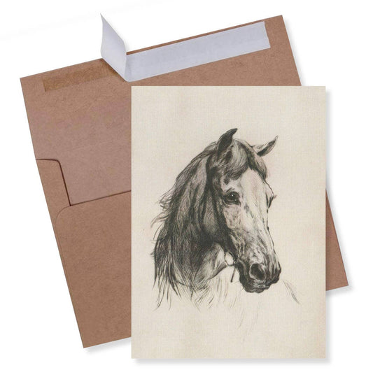 Horse Sketch Greeting Card | Vintage Portrait | 5X7